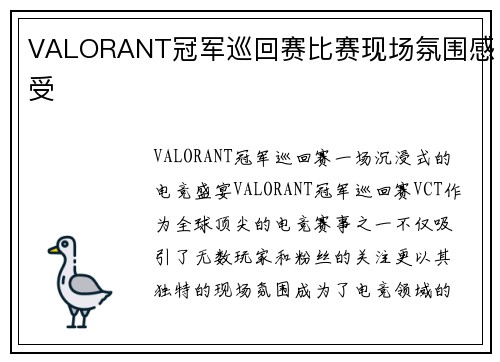 VALORANT冠军巡回赛比赛现场氛围感受