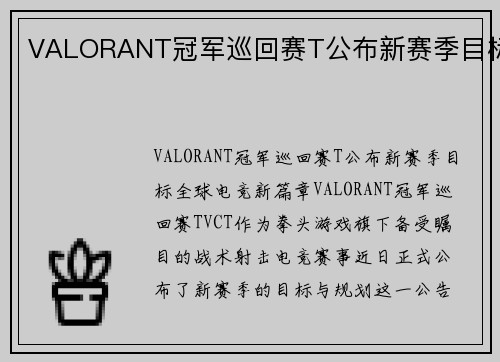 VALORANT冠军巡回赛T公布新赛季目标